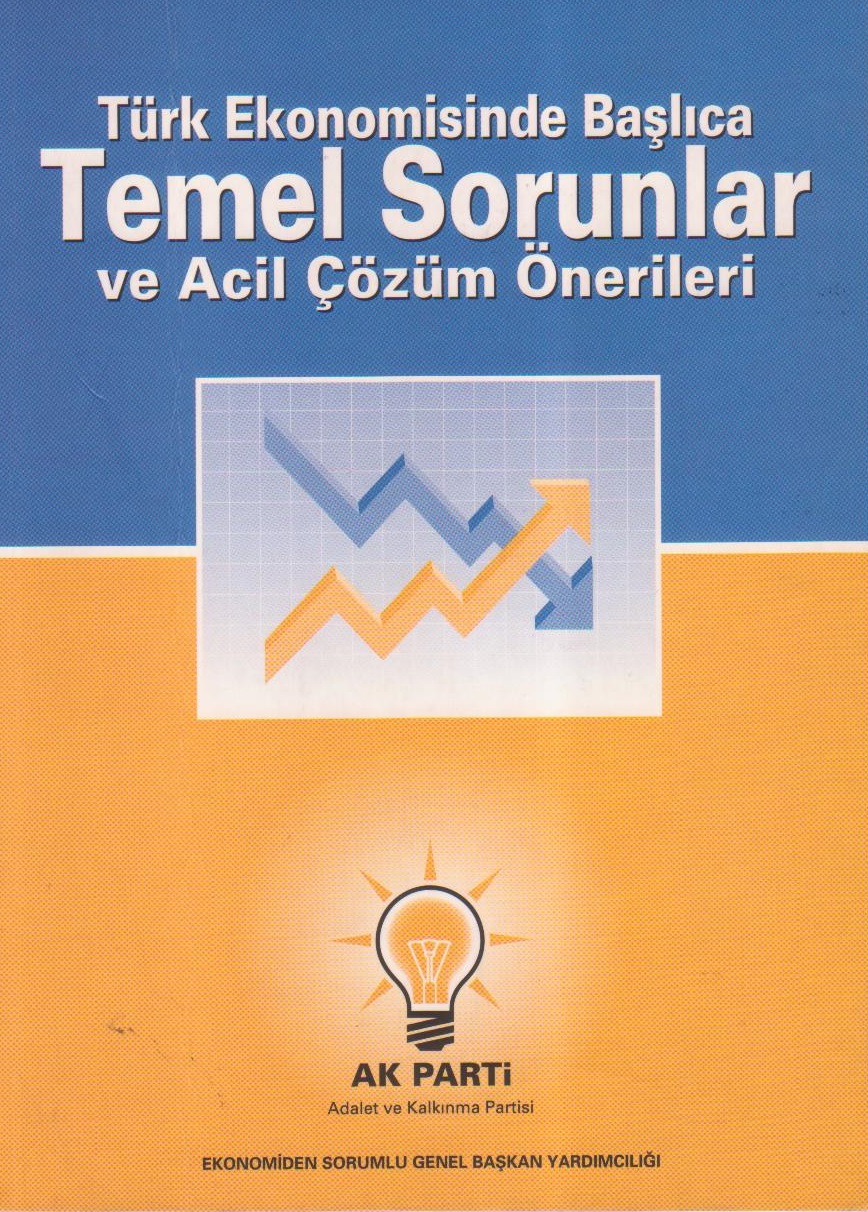 TEMEL SORUNLAR